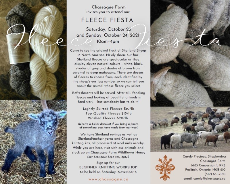 Fleece Fiesta Poster